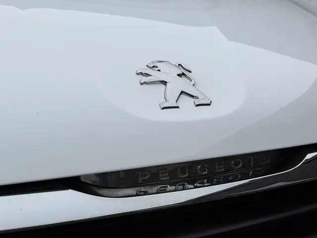 Peugeot 2008 1.2 PureTech Active 2015 Benzine 36
