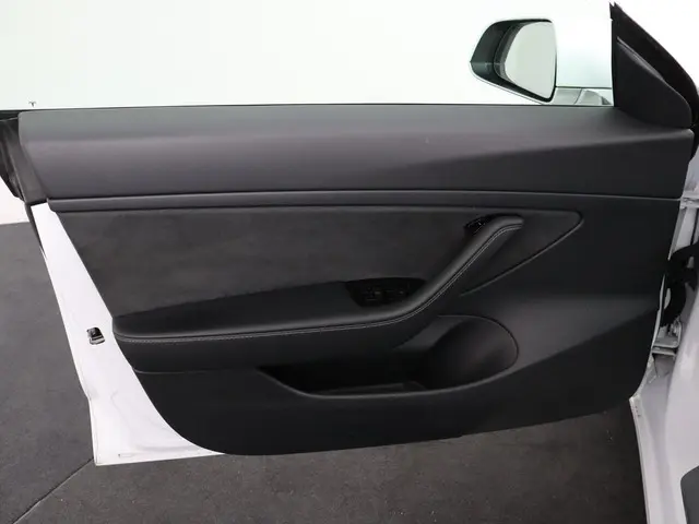 Tesla Model 3 Standard RWD Plus 60 kWh 2020 Elektrisch 23