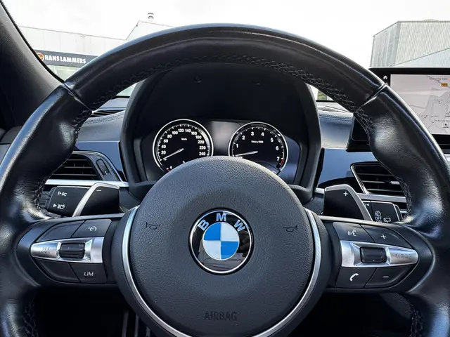 BMW X2 sDrive20i High Executive 2023 Benzine 4
