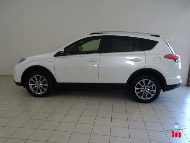 Toyota RAV4 2.5 Hybrid Energy Plus 2018 Hybride Benzine 7