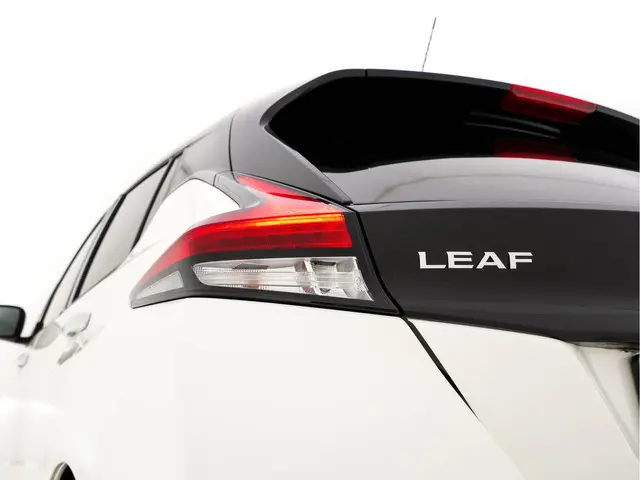 Nissan Leaf Tekna 40 kWh 2019 Elektrisch 31
