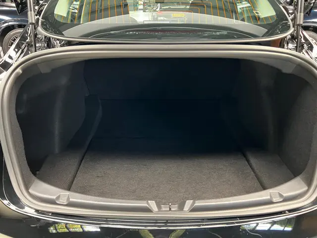 Tesla Model 3 Long Range AWD 75 kWh 2022 Elektrisch 31