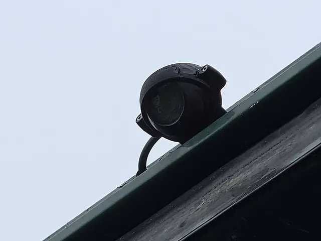 Scania P P320 2017 Diesel 21