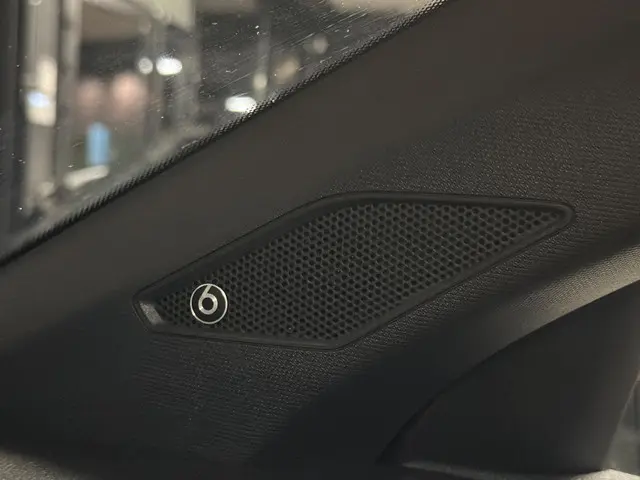 Volkswagen Polo 2.0 TSI GTI|PANO|BEATS|BOMVOL 2018 Benzine 18