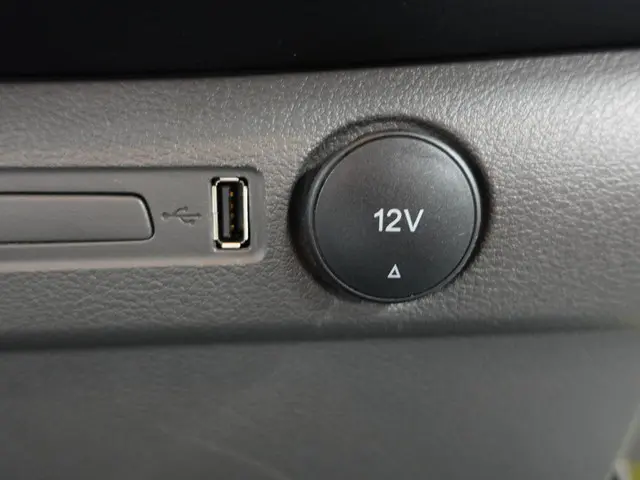 Ford Transit 350 2.0 TDCI L4H3 Trend 2024 Diesel 31