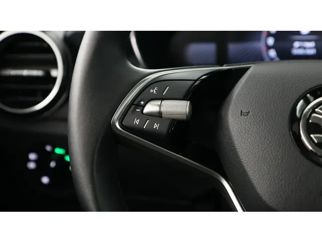 Škoda Fabia 1.0 TSI 95pk Selection 2024 Benzine 22