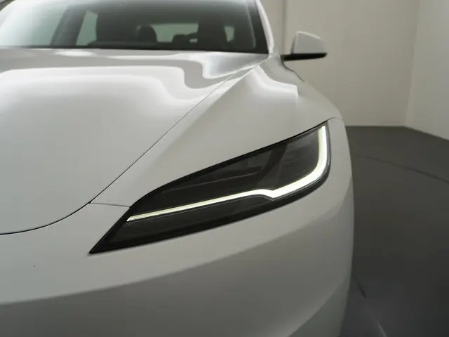 Tesla Model 3 RWD 60 kWh 2024 Elektrisch 14