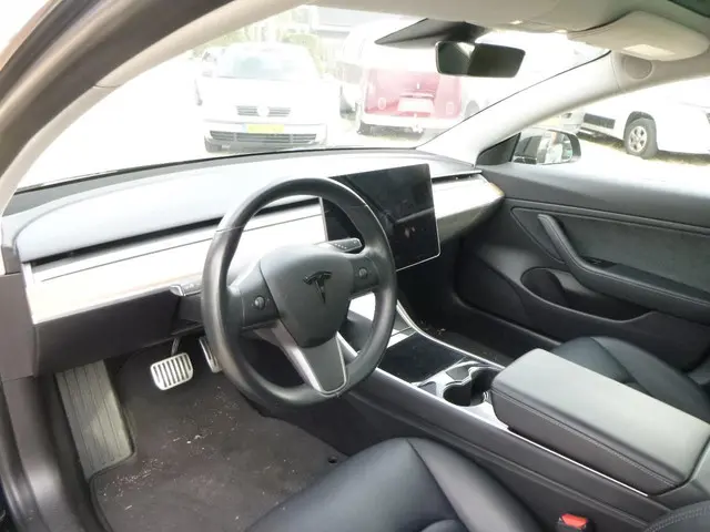Tesla Model 3 Standard RWD Plus 60 kWh 2019 Elektrisch 13