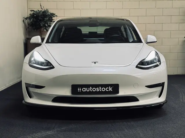 Tesla Model 3 Performance AWD 75 kWh 2019 Elektrisch