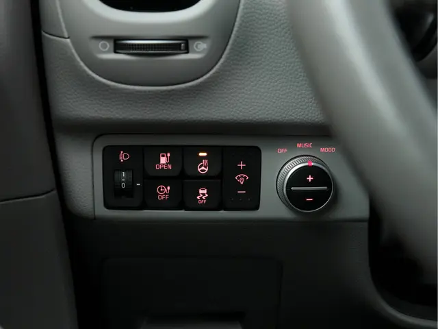 Kia e-Soul EV Executive Plus Line {SOH-95%} 2017 Elektrisch 21