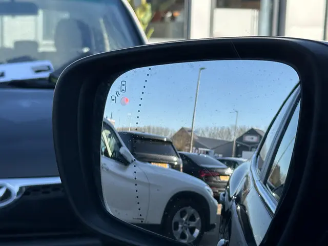 Renault Kadjar 1.2 TCe Intens 2017 Benzine 25