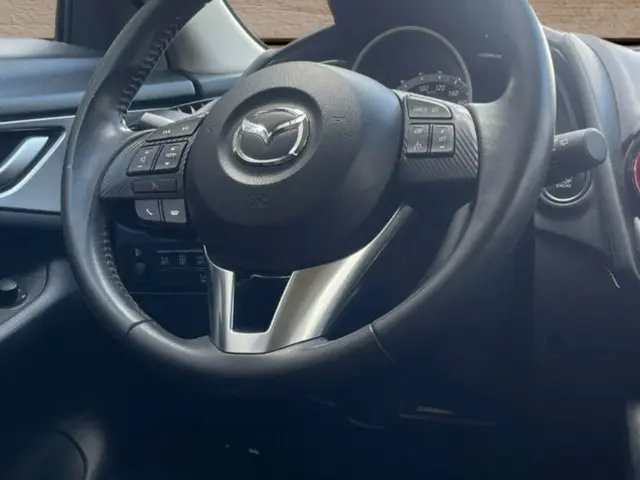 Mazda CX-3 2.0 SkyActiv-G 120 TS 77dkm 2016 Benzine 6