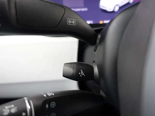Tesla Model X Long Range Black Pack- 2019 Elektrisch 21