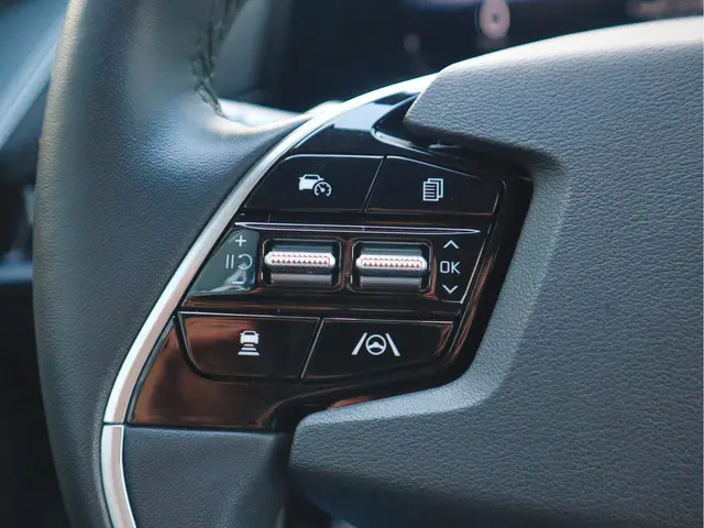 Kia Niro EV ExecutiveLine 64.8 kWh 2024 Elektrisch 13