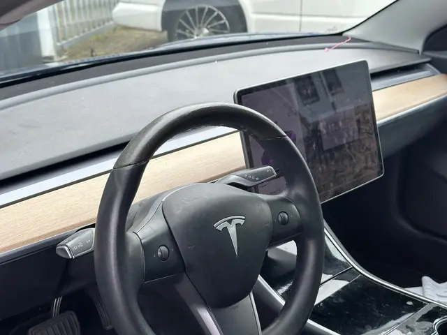 Tesla Model 3 Standard RWD Plus 60 kWh 2019 Elektrisch 9