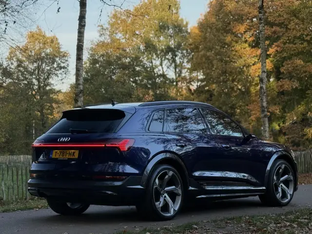 Audi e-tron S quattro 95 kWh 2021 Elektrisch 35
