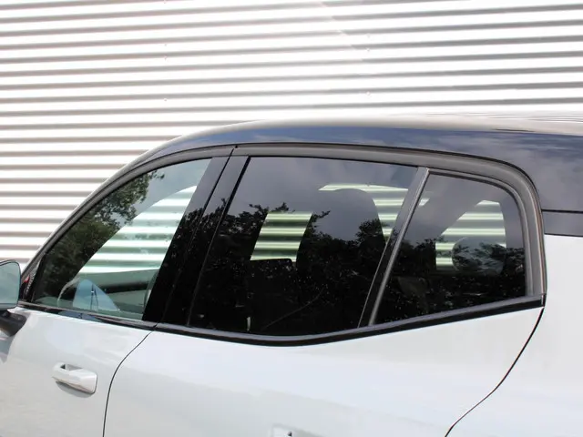 Volvo EX30 Twin Motor Performance Ultra 2024 Elektrisch 9