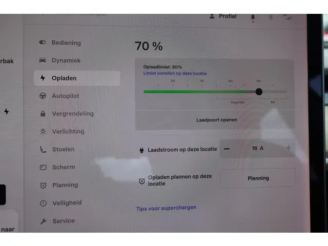 Tesla Model 3 Performance AWD 75 kWh 2019 Elektrisch 30
