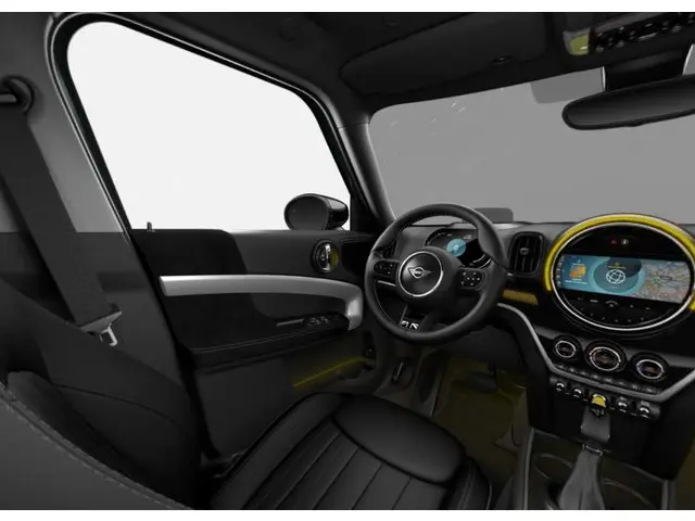 MINI Countryman Cooper SE ALL4 2021 Hybride Benzine 4