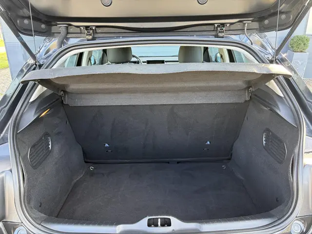 Citroën C4 Cactus 1.2 PureTech Business 2016 Benzine 31