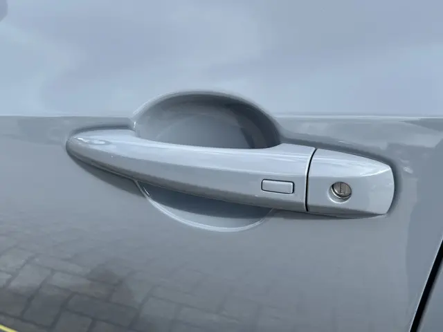 Nissan Juke 1.0 DIG-T Kiiro 2022 Benzine 40