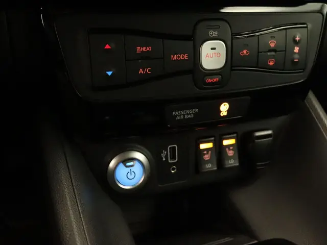 Nissan Leaf e+ Tekna 62 kWh 2019 Elektrisch 42