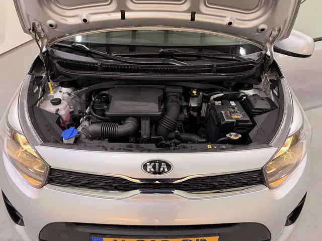 Kia Picanto 1.0 DynamicLine Airco 2021 Benzine 42