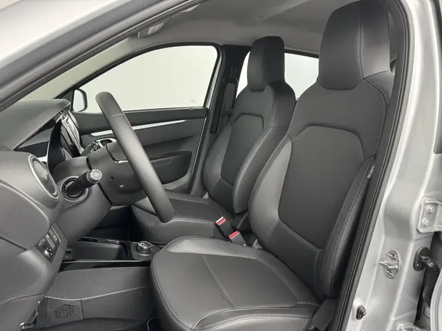 Dacia Spring Expression 27 kWh 2024 Elektrisch 10