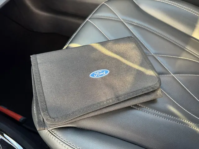 Ford Mustang Mach-E RWD 75 kWh- 2021 Elektrisch 19