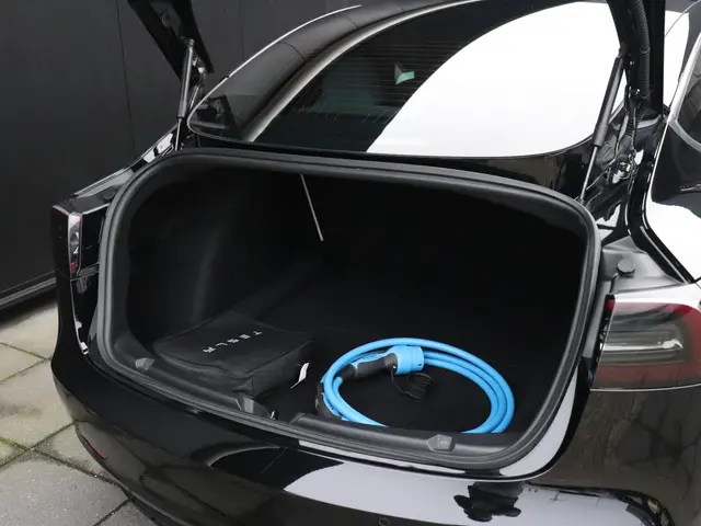Tesla Model 3 Performance AWD 75 kWh 2019 Elektrisch 21