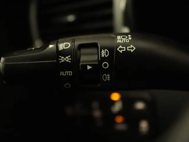 Kia e-Niro ExecutiveLine 64 kWh 2019 Elektrisch 24