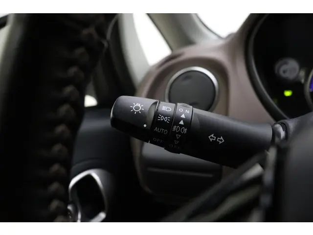Citroën C-Zero 4-persoons 16 kWh 2020 Elektrisch 22