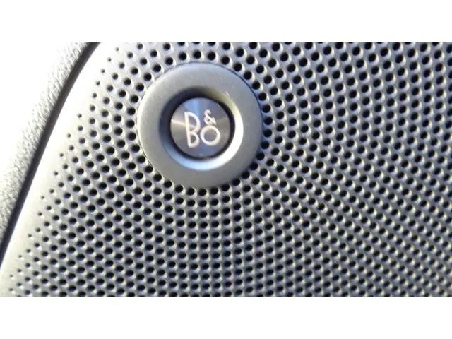 Ford Focus 1.0 EcoBoost ST Line Business 2019 Benzine 14