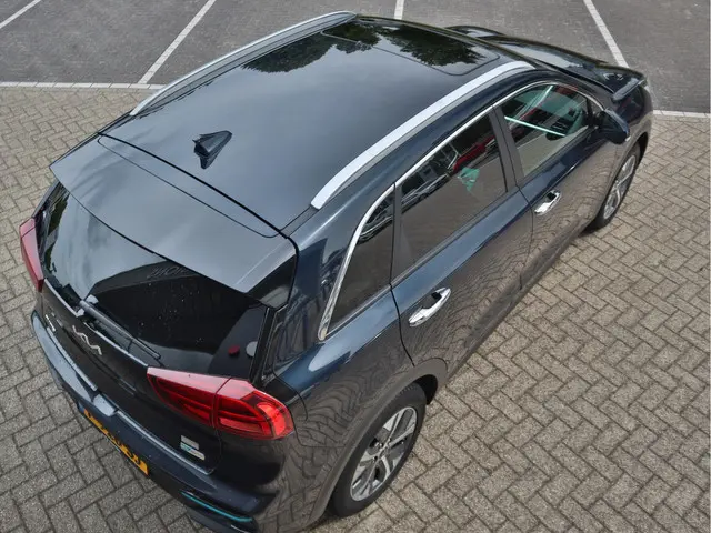 Kia e-Niro DynamicPlusLine 64 kWh 2022 Elektrisch 4