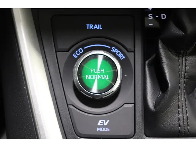 Toyota RAV4 2.5 Hybrid AWD Bi-Tone, 2020 Hybride Benzine 24