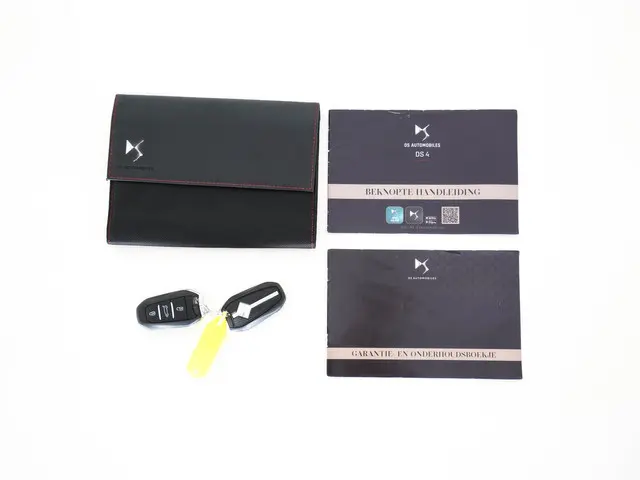 DS DS 4 1.6 PureTech Performance Line 2022 Benzine 31