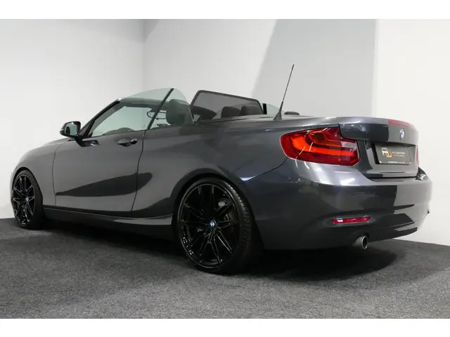 BMW 2 Serie Cabrio 218i Essential 2015 Benzine 20