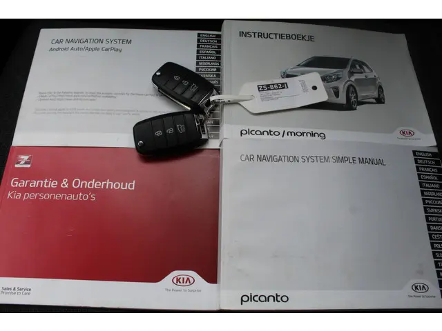 Kia Picanto 1.0 MPi DynamicLine//Navi//Camera!! 2019 Benzine 25