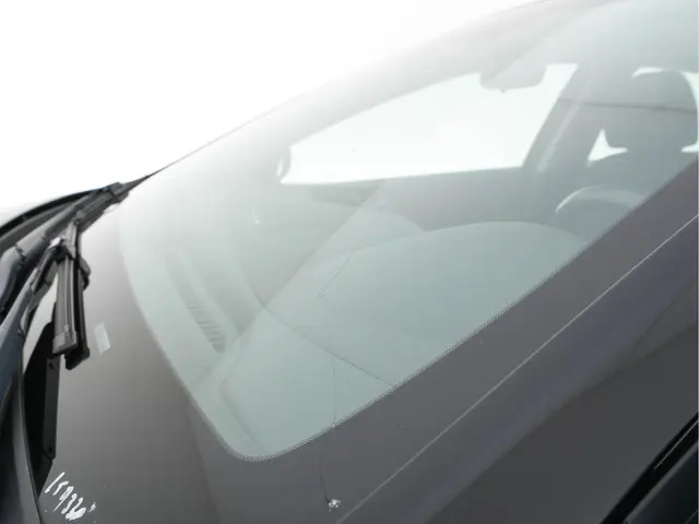 Hyundai IONIQ Comfort EV 2019 Elektrisch 31