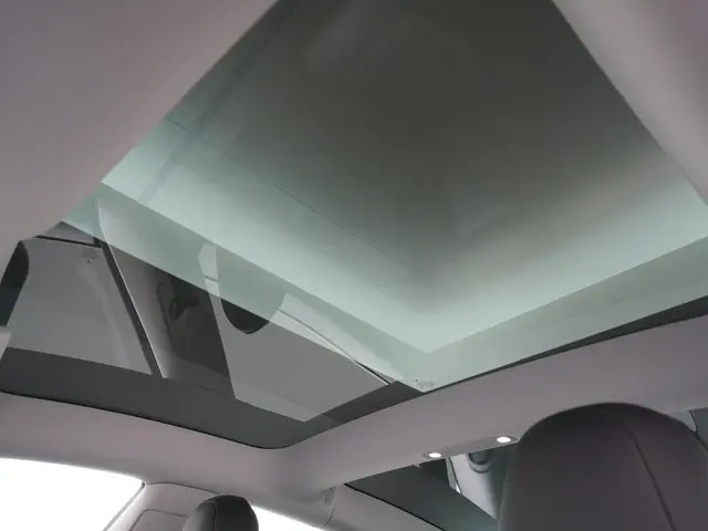 Tesla Model 3 Standard RWD Plus 60 kWh 2021 Elektrisch 20