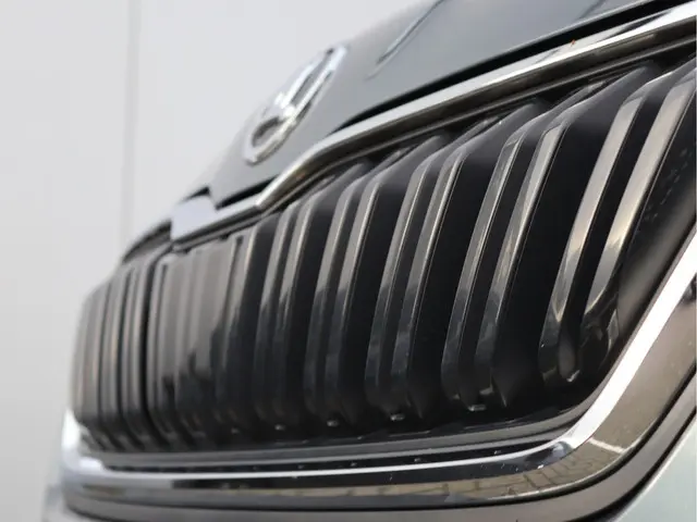 Škoda Kamiq 1.5 TSI ACT Business Edition 2020 Benzine 10