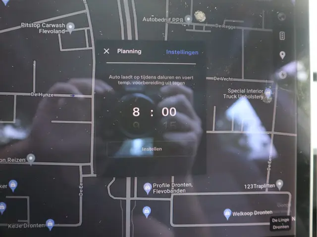 Tesla Model 3 Standard RWD Plus 60 kWh 2020 Elektrisch 34