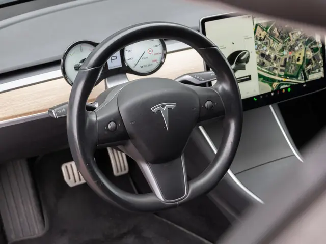 Tesla Model 3 Performance AWD 75 kWh 2019 Elektrisch 6