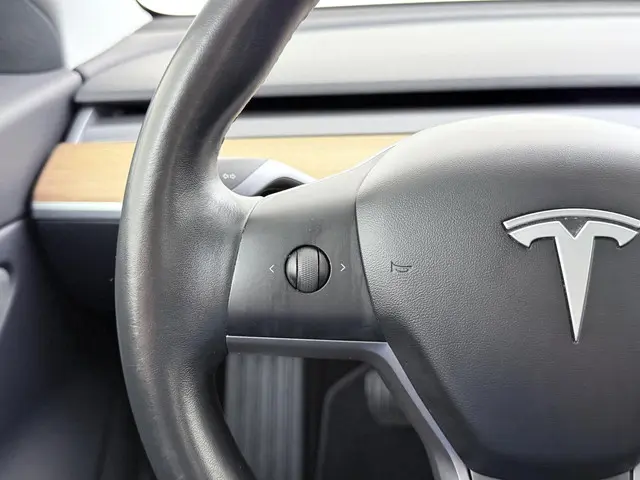 Tesla Model 3 Long Range AWD 75 kWh 2019 Elektrisch 29