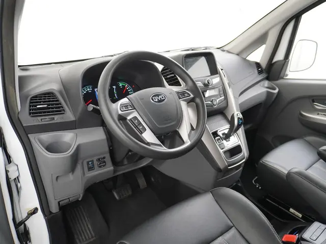 BYD ETP3 Standard 45 kWh 2023 Elektrisch 19