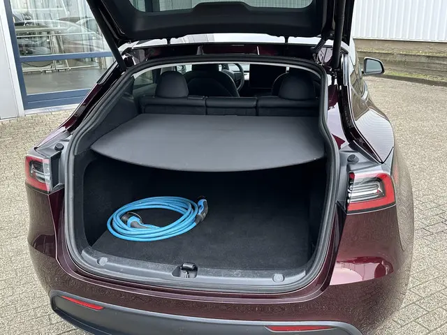 Tesla Model Y Long Range AWD 75 kWh 2023 Elektrisch 20