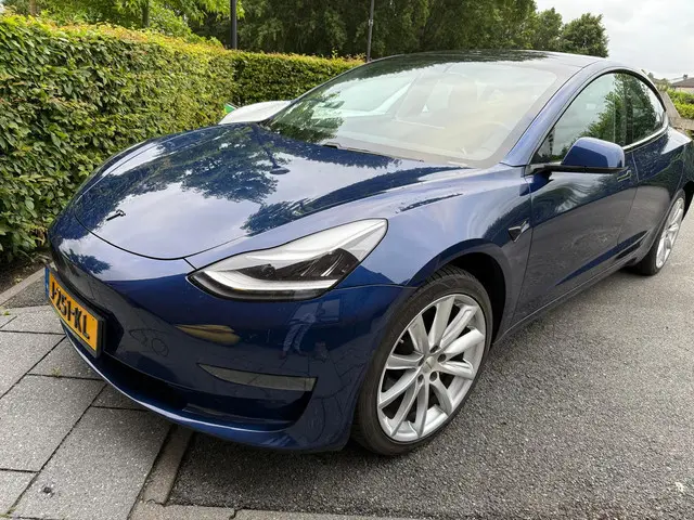Tesla Model 3 Long Range RWD 75 kWh 2019 Elektrisch