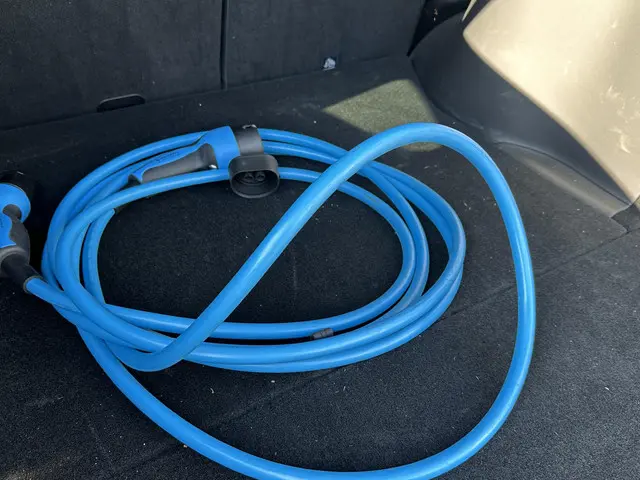 Tesla Model X Dual Motor AWD 100 kWh 2023 Elektrisch 6