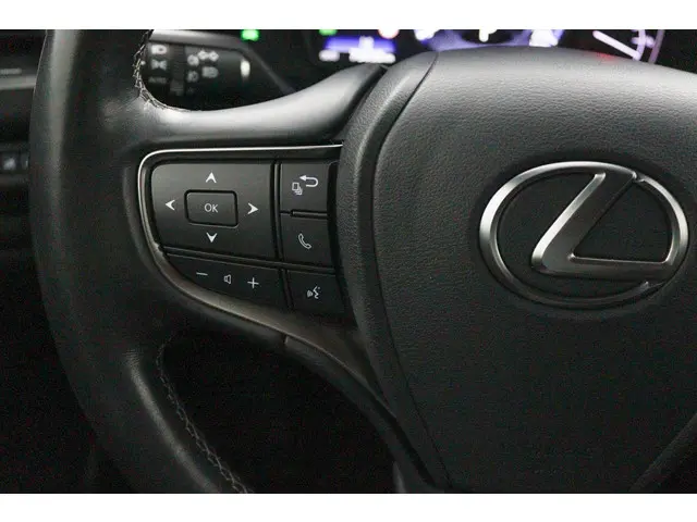 Lexus UX 250h Luxury Line 2020 Hybride Benzine 19