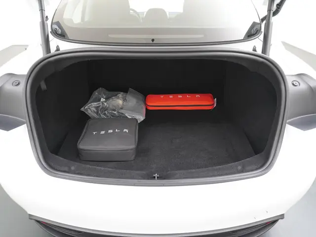 Tesla Model 3 RWD 60 kWh 2024 Elektrisch 11